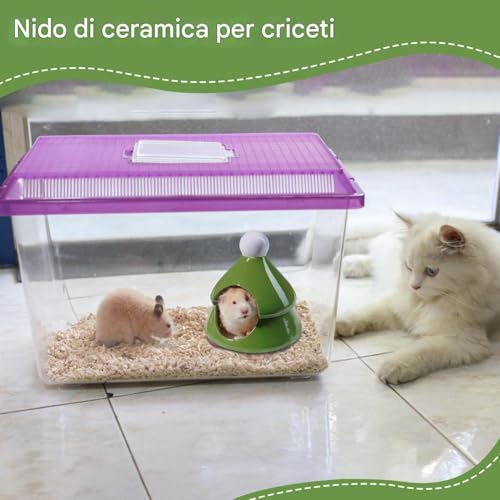 Refugio de cerámica para hámsters enanos con diseño de pino estable 4