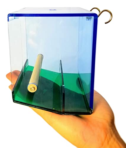 Birds LOVE Bird Feeder Seed Catcher Tray Hanging Cup Food Dish for Cage for Small Birds Lovebirds Cockatiels Canaries Sun Conures Blue with Green Bottom