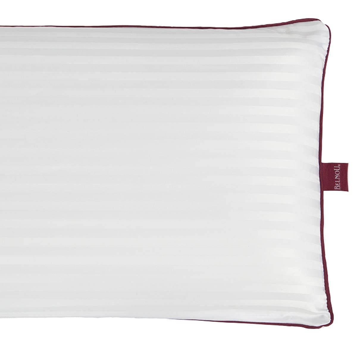 Lanovenanube Almohada VISCO Seda - Medida 150 cm