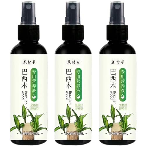 3 pièces engrais pour plantes d'intérieur en bois brésilien pour bambou porte-bonheur, engrais liquide pour plantes d'intérieur en bois brésilien, 100 ml, fournitures de jardinage, engrais liquide pou