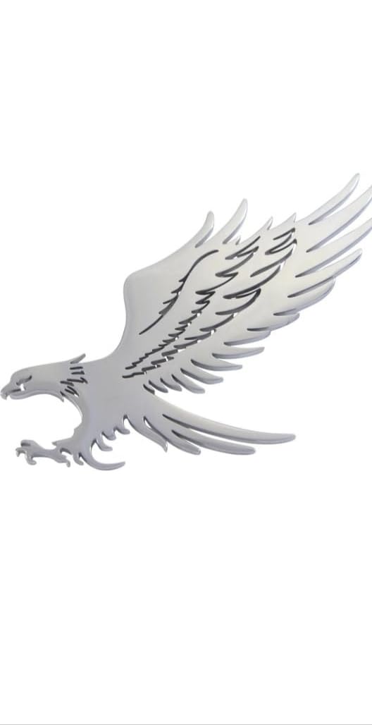 elite crafts jewels Elite Craft Stainless Steel Premium Designer Eagle Shape Brooch For Men's Fashion-picture-28