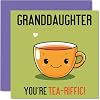 Birthday Cards for Granddaughter - Tea-riffic - Funny Happy Birthday Card for Granddaughter from Grandparents, Granddaughter Birthday Gifts, 5.7 x 5.7 Inch Joke Bday Greeting Cards for Women Her