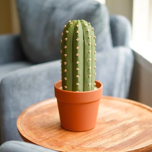 Jeu d'échecs cactus original à offrir pour les amateurs de design
