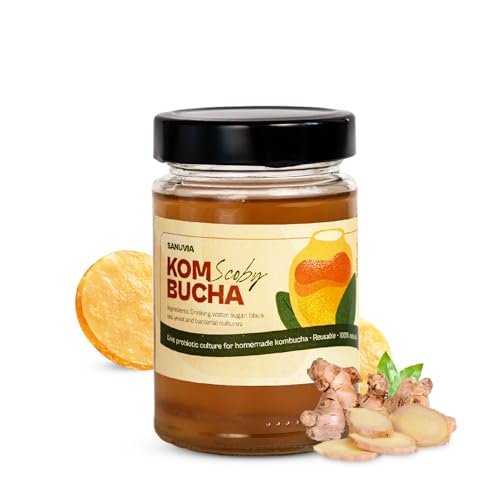 SANUVIA Kombucha SCOBY Starterkultur - Teepilz mit 300 ml Startertee im Glas - Vegan, Live-Kultur, wiederverwendbar - Anleitung auf Etikett - 100% natürlich