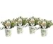 Superbells Holy Moly! (Calibrachoa) Live Plant, Mottled Yellow and Pink Flowers, 4.25 in. Grande, 4-pack