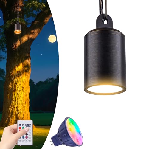 Makergroup Low Voltage Hanging Light, 12V Pendant Light Outdoor 1-Pack