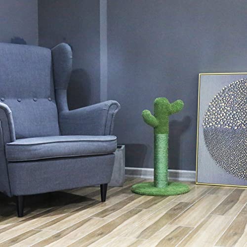 Petnpurr Cactus Cat Scratcher – Protect Your Furniture With Our Natural Sisal Cat Scratching Post With Teaser Ball Cat Toy #TOP2