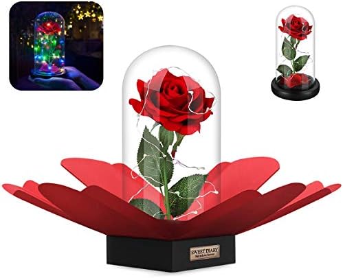 SWEET DIARY Beauty and the Beast Rose DIY Kit, Christmas Gifts, Mothers Day Gifts, Red Silk Rose with Fallen Petals and RGB+White Led light in a Glass Dome on Wooden Base for Valentine's Day