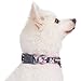Blueberry Pet 5 Patterns Soft & Comfy Rose Flower Prints Girly Padded Adjustable Dog Collar, Large, Neck 18