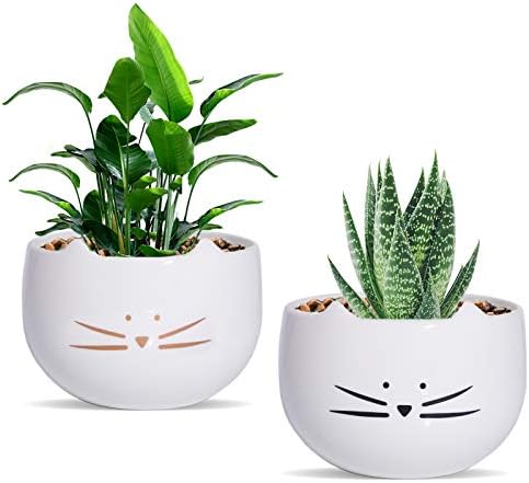 Koolkatkoo 5.5 Inch Cute Cat Succulent Planter Pots Cactus Planters Flower Pots White Set of 2