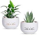 Koolkatkoo 5.5 Inch Cute Cat Succulent Planter Pots Cactus Planters Flower Pots White Set of 2