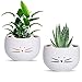 Koolkatkoo 5.5 Inch Cute Cat Succulent Planter Pots Cactus Planters Flower Pots White Set of 2