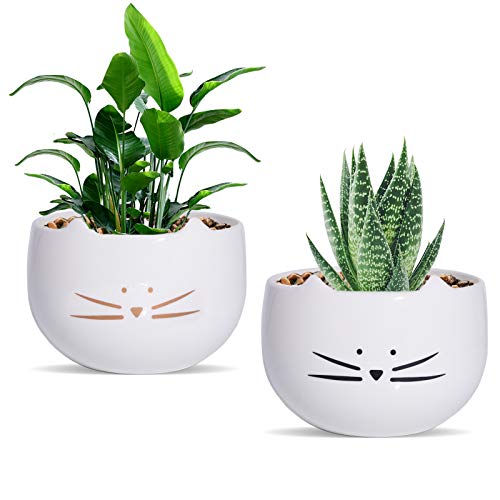 Koolkatkoo 5.5 Inch Cute Cat Succulent Planter Pots Cactus Planters Flower Pots White Set of 2 by Koolkatkoo - Used condition - US$18.16