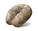 I-TOTAL® - Cuscino da viaggio IN MEMORY FOAM/Cuscino da viaggio per collo Morbido per supporto cervicale/Cuscini Cuscino da viaggio divertente Memory Foam(OLD MAP)