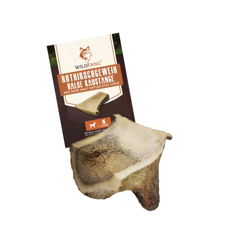 Wildfang® | Demi Perche Bois de cerf Rouge (Nature) os à mâcher | Soins dentaires & entraînement des Muscles masticateurs I à Long Terme | Bois de cerf | Chiens à mâcher - S pour Chiens < 10 kg Cover