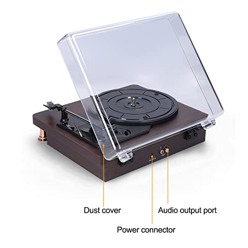 AORGRE Tourne-Disque Bluetooth, Haut-parleurs Stéréo Intégrés avec Platine Vinyle À 3 Vitesses, Sortie Numérique USB… - Les Beatles, Paul McCartney, John Lennon, RIngo Starr, George Harrison AORGRE Tourne-Disque Bluetooth, Haut-parleurs Stéréo Intégrés avec Platine Vinyle À 3 Vitesses, Sortie Numérique USB… – Image 7