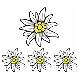 Dykgraaf