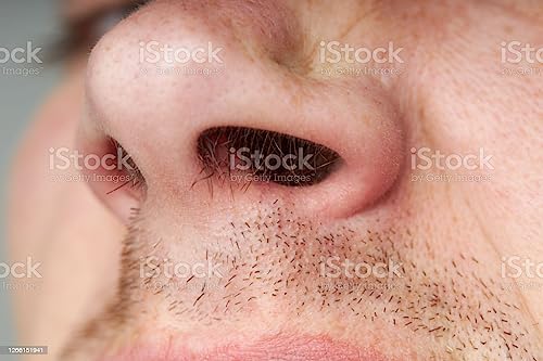 Alis Nose and Eyebrows Hair Cutting straight Scissors Nail Cuticle Scissors/Manicure Scissors Straight for Beard/Mustache, Nose Hair, Ear Hair, Eyebrow and Eyelashes Cutting - Image 2 thumbnail