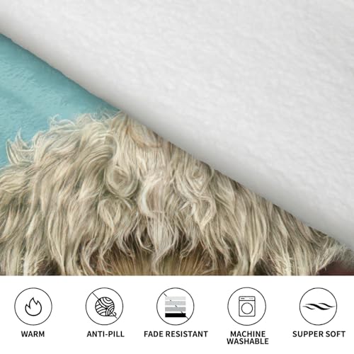 Couverture à capuche flanelle chaude contre le froid, solution cocooning adulte