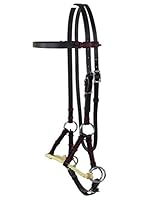 Thor Equine Sidepull mit Single Rope Nasenriemen, Schwarz, Cob