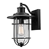 Globe Electric 44094 1-Light Outdoor/Indoor Wall Sconce, Black, Seeded Glass Shade, Outdoor Lighting Modern, Wall Lighting, Porch Light, Patio Décor, Outdoor Light Fixture, Weatherproof