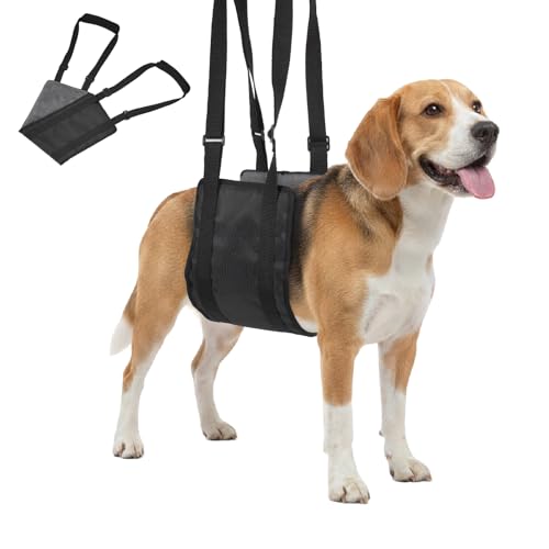 ���߉\�Ȍ��p���t�g�n�[�l�X�A��둫�p�|�[�^�u�����p�X�����O�A���t�g�T�|�[�g�A���n�r���n�[�l�X�A�ア�㑫�A����ҁA�����������A��Q�̂��錢�ȂǁB�u���b�N�AS