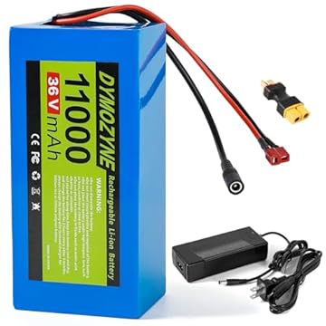 1000 watt ebike battery