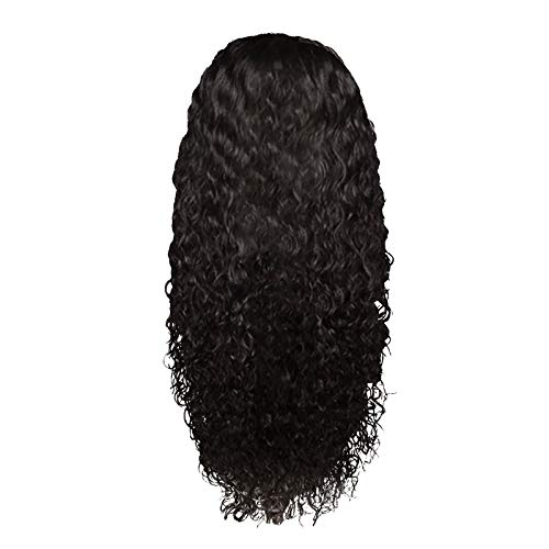 mÂ·kvfa Peruvian Curly Human Hair Wig Glueless Lace Front Human Hair Wet and Wavy Water Curly Hair Wigs 24in (Black)