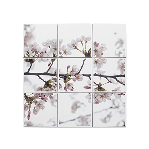 Carreaux Céramique Décoratif Fleurs de Cerisier 15,2x15,2 cm Lot de 9