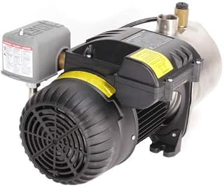 JP8-62ASA Shallow Well Jet Pump, Cast Iron (230V, 2 HP)