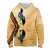 Sweat-Shirt Harajuku Street, Sweat à Capuche Motif mésange charbonnière imprimé en 3D, Pull Printemps et Automne pour Hommes et Femmes J XL