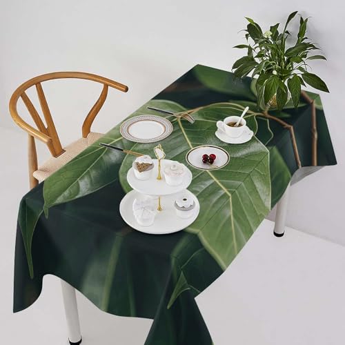 Nappe de table rectangulaire motif eucalyptus résistante aux taches pour fêtes