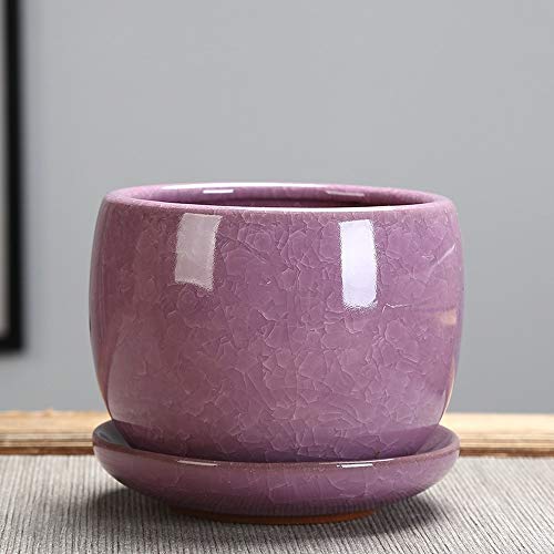 Pot pour plante succulente en céramique craquelée YRYRYW pour mini bonsai et cactus de bureau
