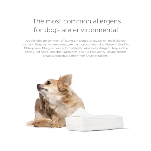 Dog All Purpose + Allergy Pet WiPees™ – 100 Allergy Wipes for Dogs, All Natural Dog Wipes for Paws, Folds & Hot Spots, Daily Pet Wipes for Allergy Relief & Skin Health (Natural, 100ct)