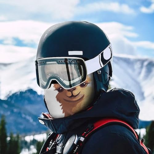 Balaclava de esquí, máscara facial completa con protección solar, capucha protectora contra el sol, gaiter de cuello enfriador para verano, para hombres y mujeres miniatura 5