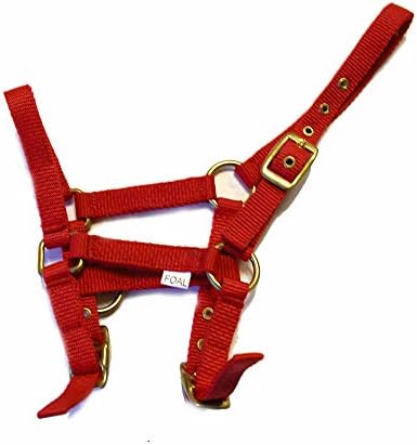 Rhinegold Nylon Foal Headcollar - Red