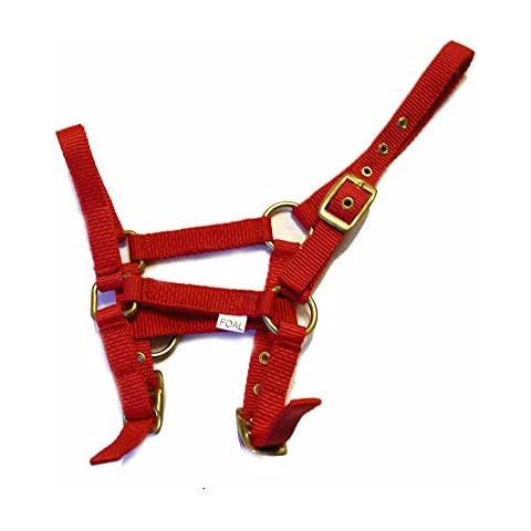 Rhinegold Nylon Foal Headcollar - Red Cover