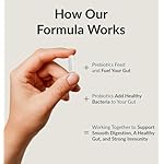 BIOptimizers Probiotic Breakthrough – Lactobacillus Plantarum OM Probiotics & Prebiotics Health Supplement for Gut, Digestive & Immune Support Probiotics for Women Men Elderly– 30 Vegan Capsules - Image 4