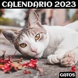  Calendario 2023 en español - Gatos: Calendario de España 2023. Calendario de 12 meses con festivos nacionales. Almanaque pequeño de pared con fotos de ... Regalo para amigos y familiares. 21 x 42 cm