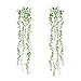 RoomMates RMK3903SCS String of Pearls Succulent Vine Peel and Stick Wall Decals