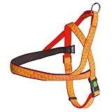 Kerbl Pet 81058 Norweger Geschirr reflektierend 20mmx60-75cm, 0.094 kg
