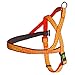 Kerbl Pet 81058 Norweger Geschirr reflektierend 20mmx60-75cm, 0.094 kg