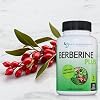 DOCTOR RECOMMENDED SUPPLEMENTS Berberine Plus 1200mg Per Serving - 120 Veggie Capsules Royal Jelly (120 Count (Pack of 3))