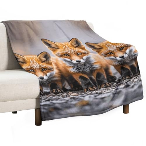Plaid renard en flanelle légère idéal pour vos soirées canapé et pique-nique