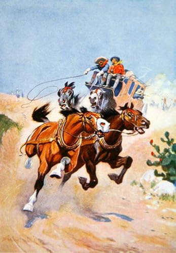 Affiches et Impressions Animaux Stagecoach Tableaux Murale Art Poster 60x90cm