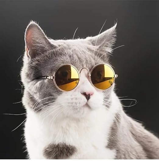 See full amazon price history chart for Woofy Pet Personality Sunglasses Classic Round Shape Cat Sunglasses Reflection Eye Wear Glasses Ideal for Cat and Dogs - Color May Vary (Pack of 1) Woofy Pet Personality Sunglasses Classic Round Shape Cat Sunglasses Reflection Eye Wear Glasses Ideal for Cat and Dogs - Color May Vary (Pack of 1) (B0CL2J43PZ) Amazon Price History, Amazon Price Tracker