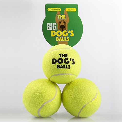 Buy The Dog's Balls 3 Large Yellow Tennis Balls, Premium, Strong Dog