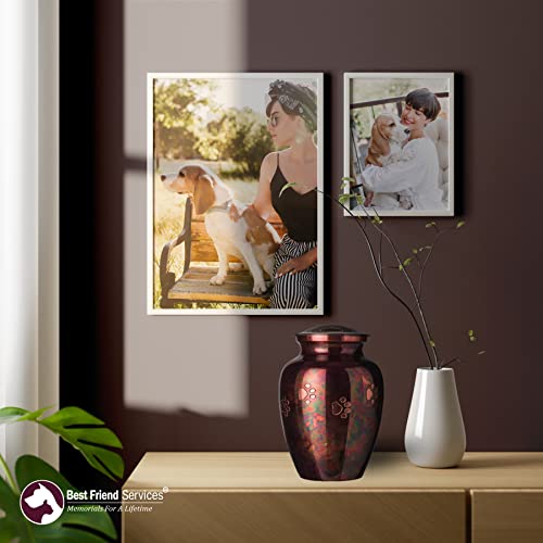 Best Friend Services Pet Urn - Ottillie Paws Legacy Memorial Pet Cremation Urns For Dogs And Cats Ashes Hand Carved Brass Memory Keepsake Urn (Raku, Horizontal, Brass, Large) #TOP6