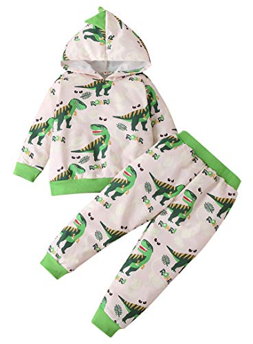 TAOHONG Toddler Infant Baby Boys Dinosaur Long Sleeve Hoodie Tops Sweatsuit Pants Outfit Set Fall Winter Clothes Beige