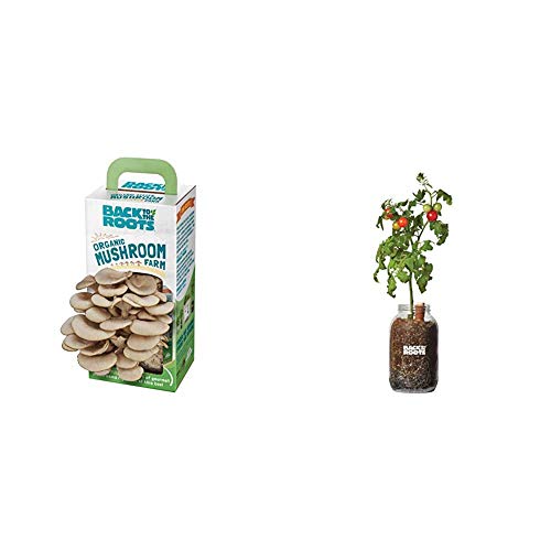 Back to the Roots Organic Mushroom Growing Kit + Grow Your Own Organic Cherry Tomato Self-Watering Planter